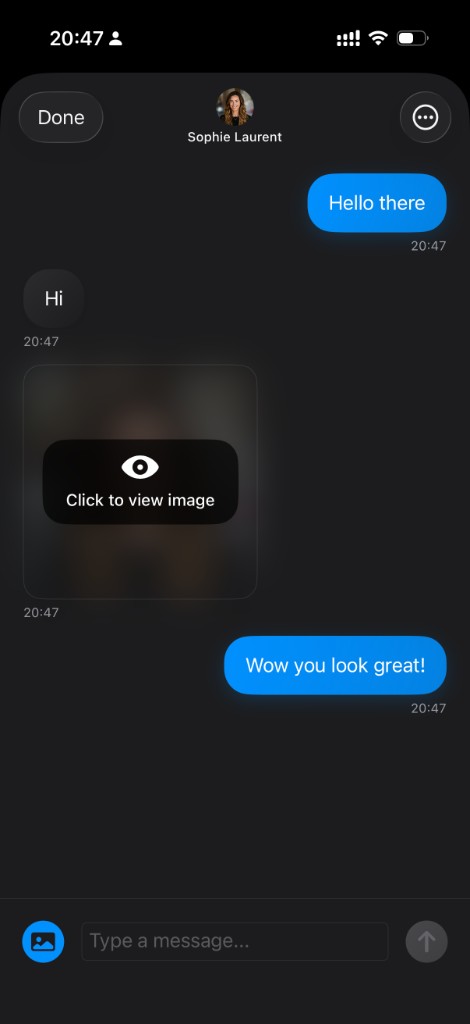 Step 4: Chat interface showing real-time messaging